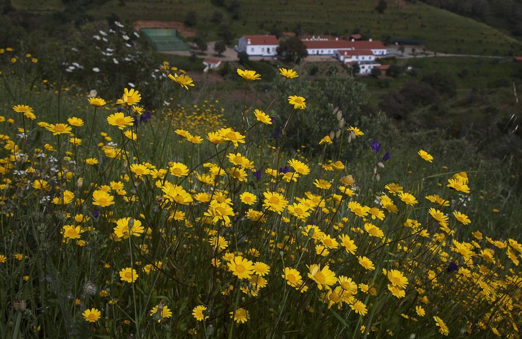 Quinta Do Chocalhinho Agroturismo E Spa Odemira Exterior foto