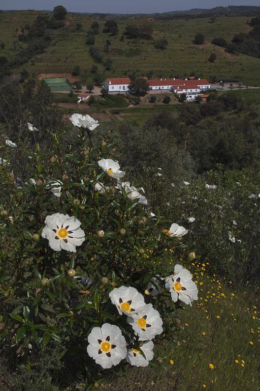 Quinta Do Chocalhinho Agroturismo E Spa Odemira Exterior foto