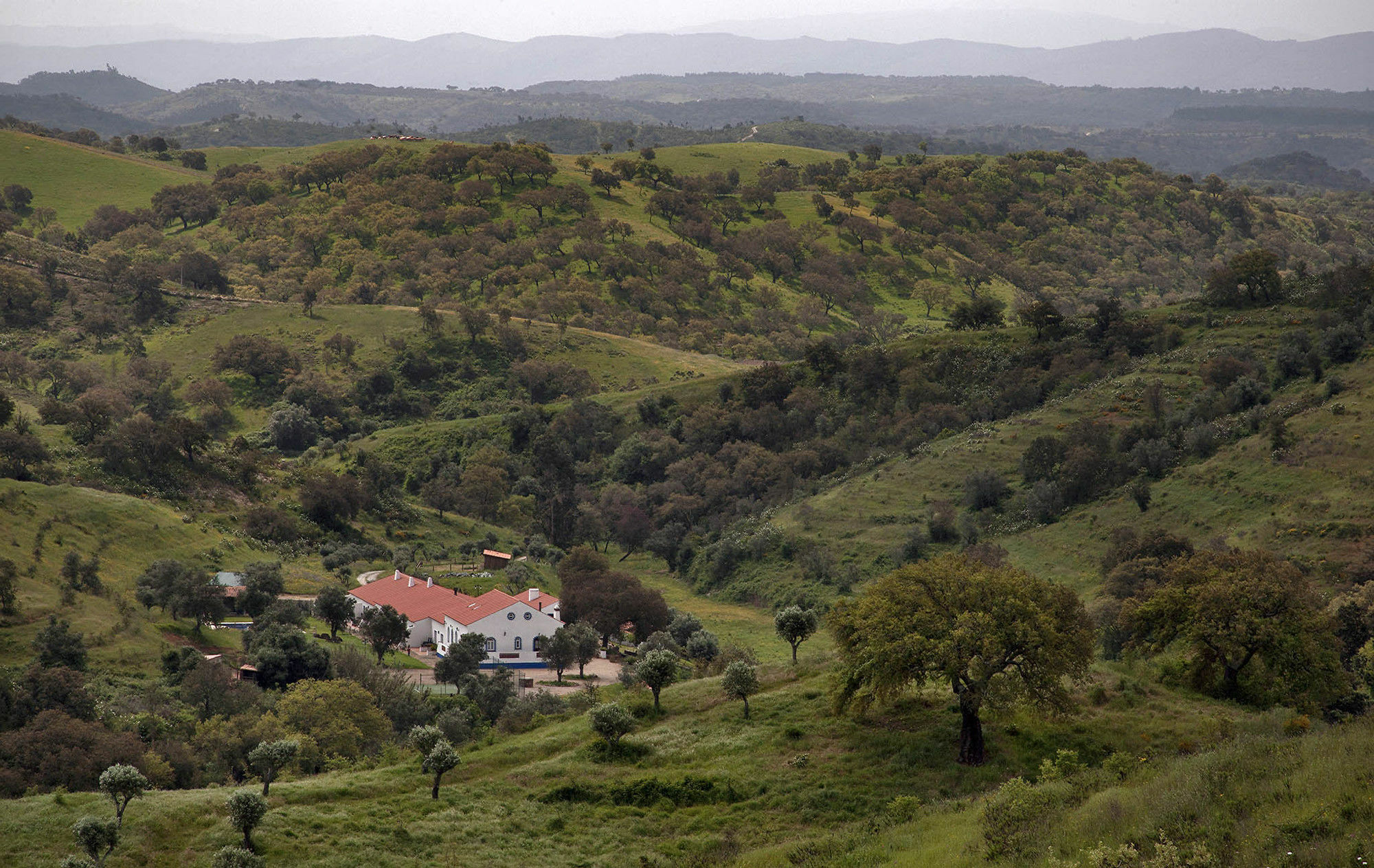 Quinta Do Chocalhinho Agroturismo E Spa Odemira Exterior foto